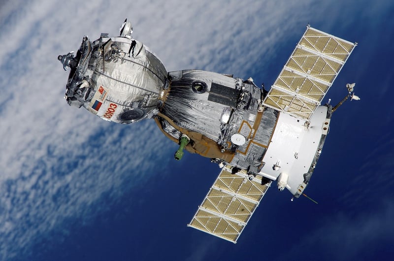 Biodiversity in Space